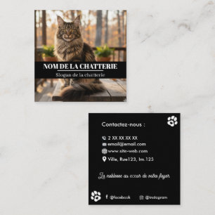 Custom Maine Coon Cattery Square Business Card