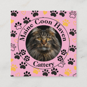 Custom Maine Coon Cattery Square Business Card 