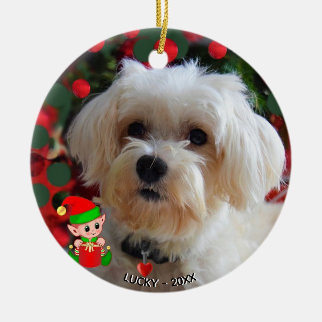 Custom Maltese Dog Photo with Cute Elf Ceramic Tree Decoration (Front)