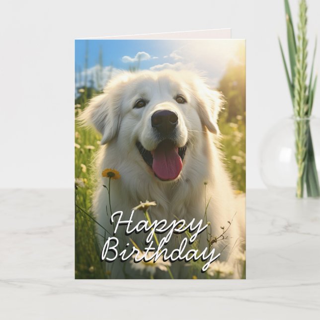 Custom Maremma Sheepdog Birthday Card (Front)