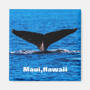 Custom Maui Humpback Whale tail magnet