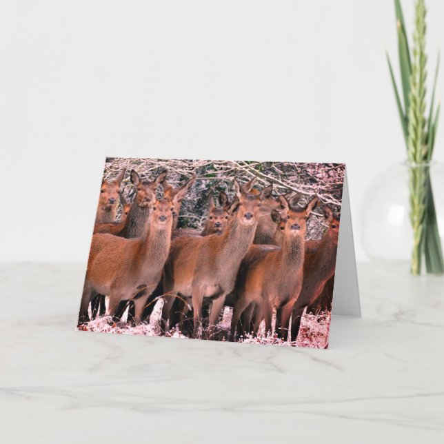 CUSTOM MERRY CHRISTMAS CARD WITH DEER IN SNOW (Front)