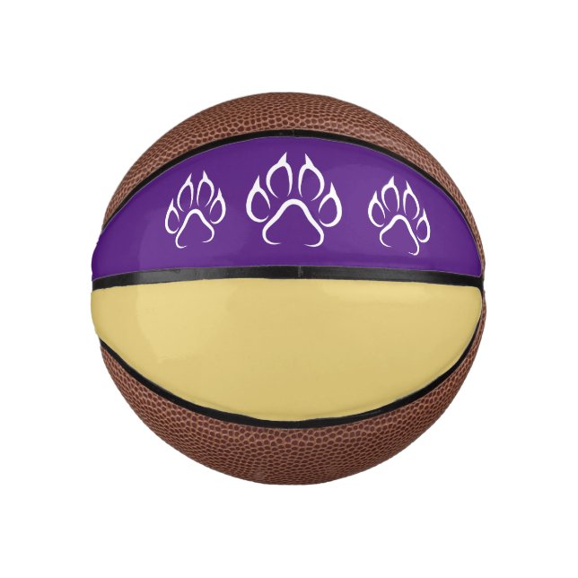 Custom Mini Basketball (Front)