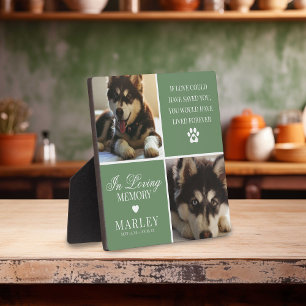Custom Modern Pet Memorial Photo Plaque