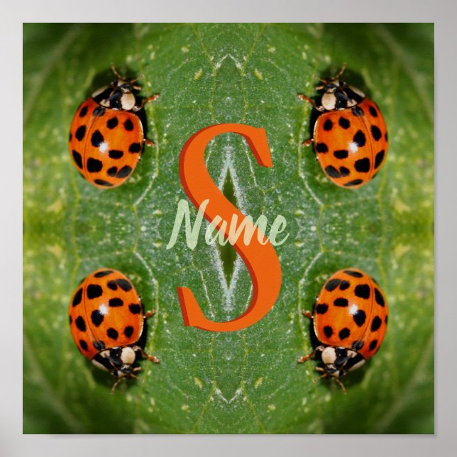 Custom Monogram Initial Name Ladybug Art Poster (Front)