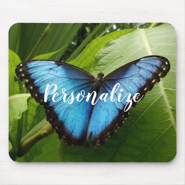 Custom mouse pad with blue Morpho butterfly photo (Front)