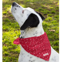 Custom Name Adult or Large Dog, Red & White Stars