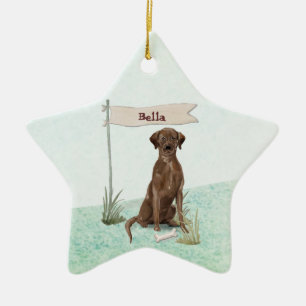 Custom Name Chocolate Lab Pet Dog Ceramic Tree Decoration