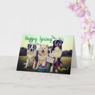Custom Name Happy Spring Dogs Aesthetic Greetings Card
