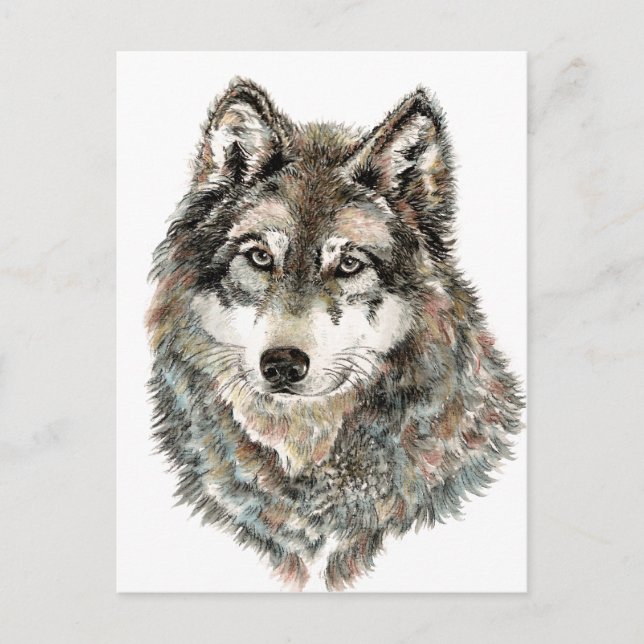 Custom Name or Text Wolf watercolor Animal Postcard (Front)