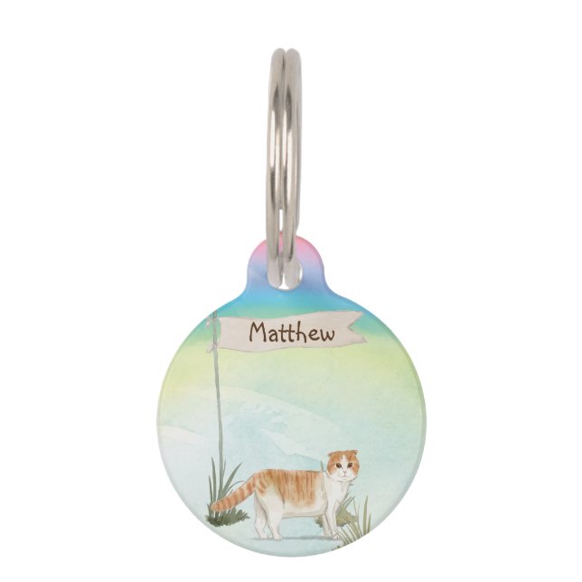 Custom Name Scottish Fold Cat Pet Tag (Front)