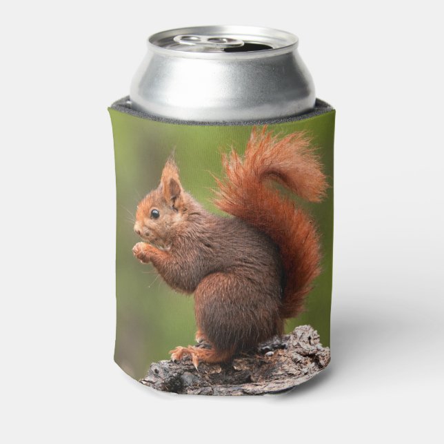 Custom Name Squirrel Can Cooler (Can Back)