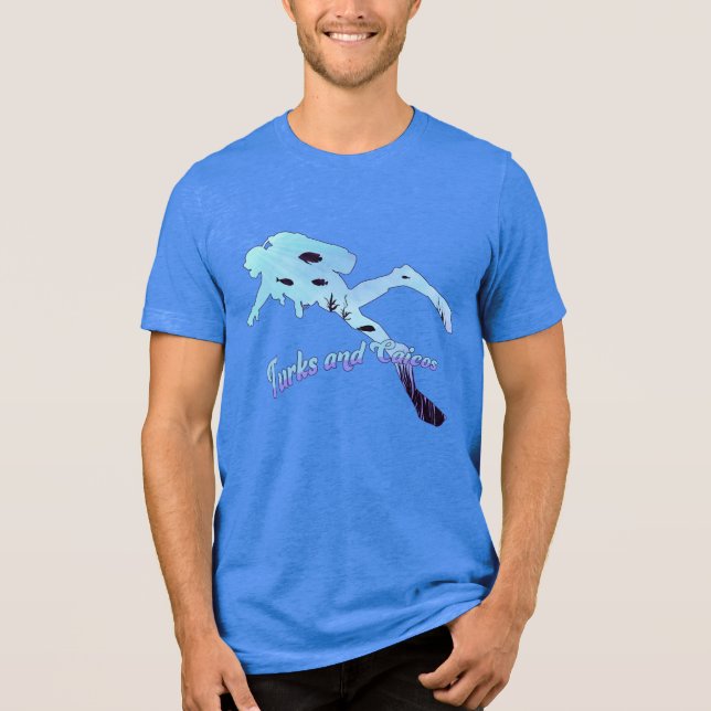 Custom Name Turks and Caicos Diving Tri-Blend Shirt (Front)