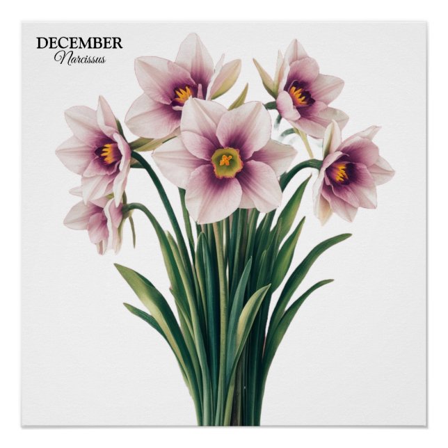 Custom Narcissus Bloom - December Gift Poster (Front)