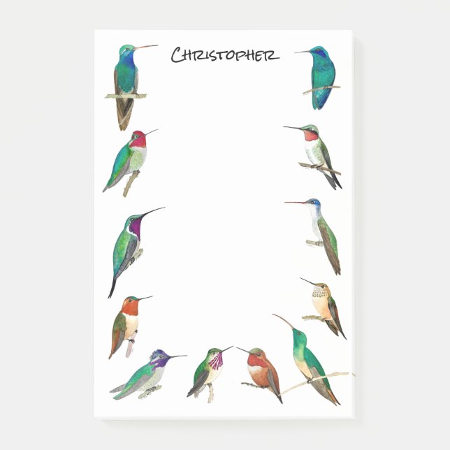 Custom North American Hummingbirds Post-it Notes (Front)