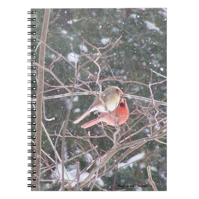 Custom organiser note book with a cardinal pair (Front)