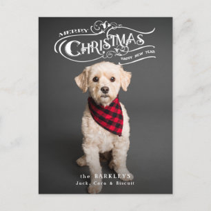 Custom Ornate Christmas Typography  Pet Photo Holiday Postcard