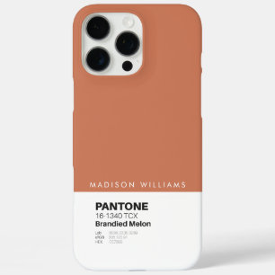 Custom Pantone Personalised Name Colour Block iPhone 16 Pro Max Case