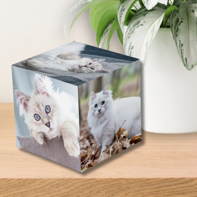 Custom Personalised Cat Keepsake Pet Photo Cube (Custom Personalized Cat Keepsake Pet Photo cube)