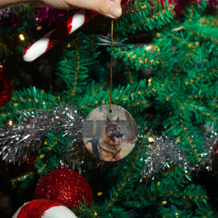 Custom Personalised Memorial Cat Dog photo Ceramic Tree Decoration