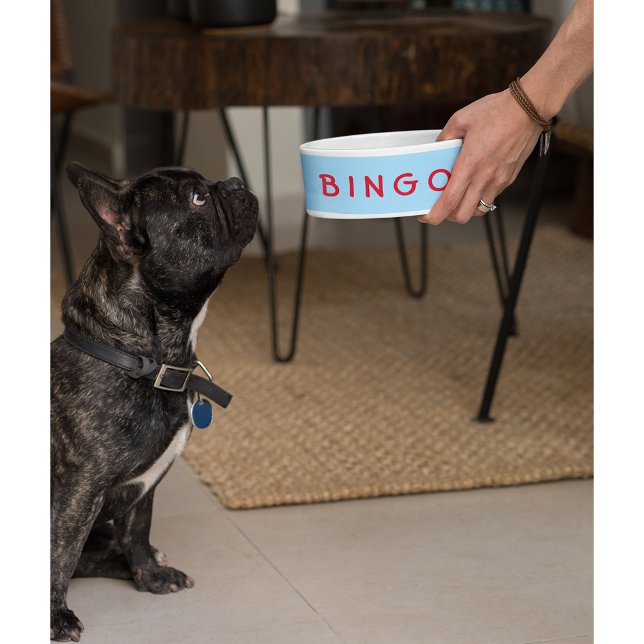 Custom Personalised Pet Dog Cat Name Food Bowl (Custom Personalized Pet Dog Cat Name Food Bowl)