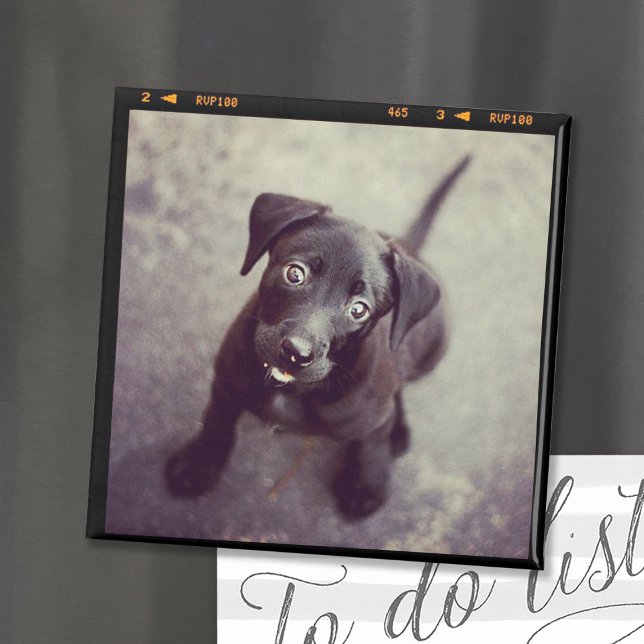 Custom Personalised Photo Gift Magnet (Creator Uploaded)