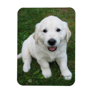 Custom Personalised Photo I Pet Picture Magnet
