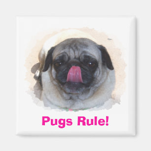 Custom Personalised Photo Magnets