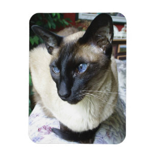 Custom Personalised Photo Pet Family Magnet