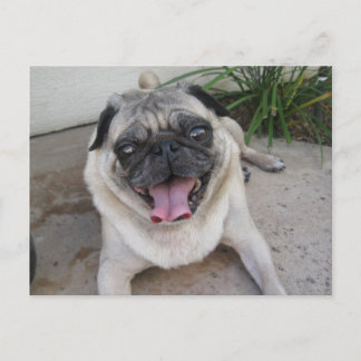 Custom Personalised Photo Postcard