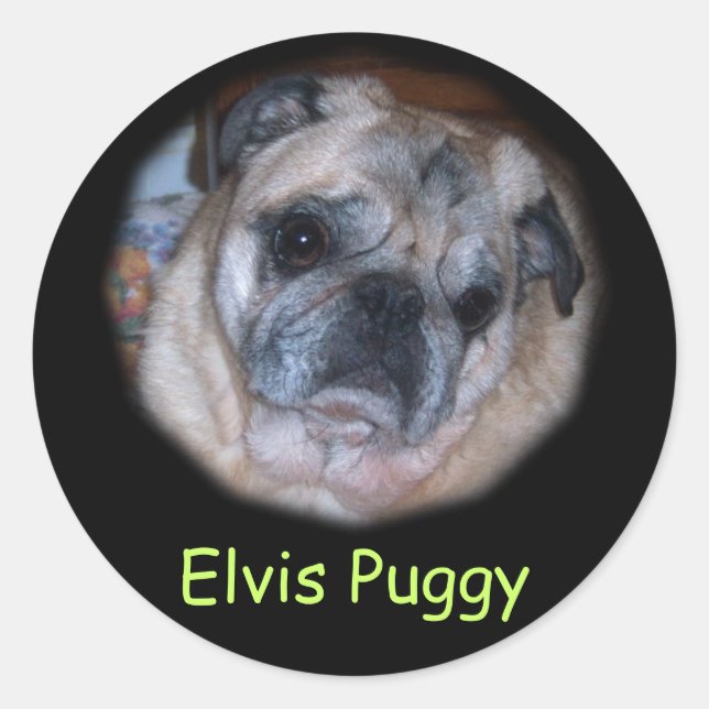 Custom Personalised Photo Stickers (Front)