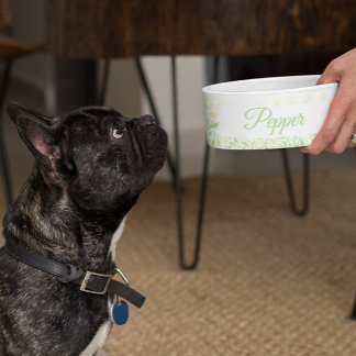 Custom Personalized Dog Cat Pet Bowl Dish Gift