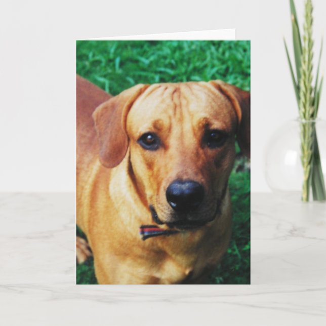 Custom Personalized Photo Greeting Card (Front)