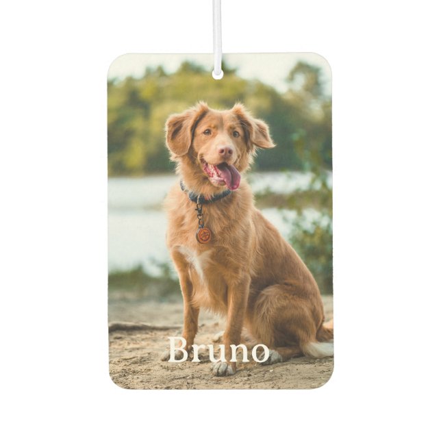 Custom Pet 2 Photo Name Dog Lovers  Car Air Freshener (Front)