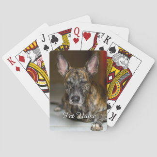 Custom Pet Cat Dog Photo Playing Cards