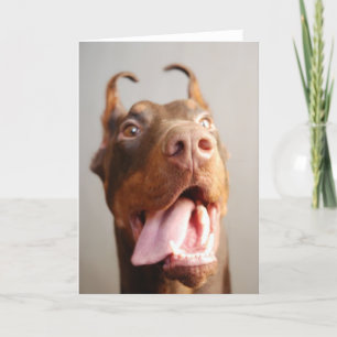 Custom pet (dog) photo card