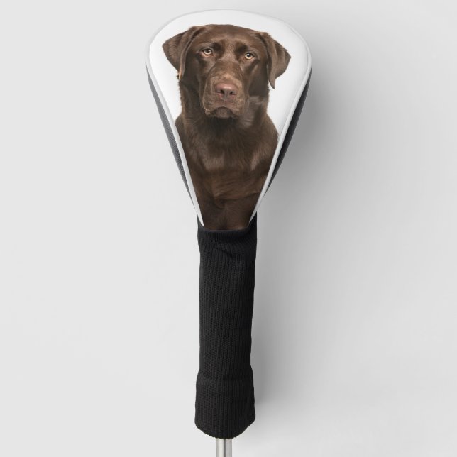 Custom Pet Dog Photo Chocolate Labrador Golf Head Cover (Front)
