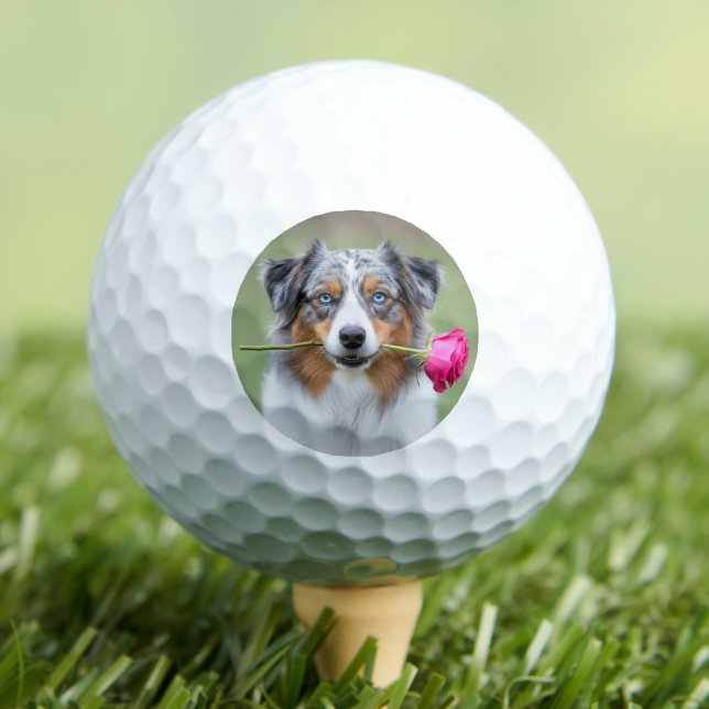 Custom Pet Dog Photo Personalised Golf Balls (Custom Pet Dog Photo Personalized Golf Balls)