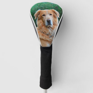 Custom Pet Dog Photo Personalised Golf Head Cover
