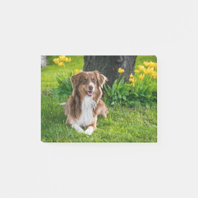 Custom Pet Dog Photo Personalised Post-it Notes (Front)