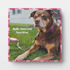Custom Pet Loss Plaque: Personalized Tribute 