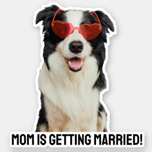 Custom Pet Lover Dog Or Cat Wedding Announcement