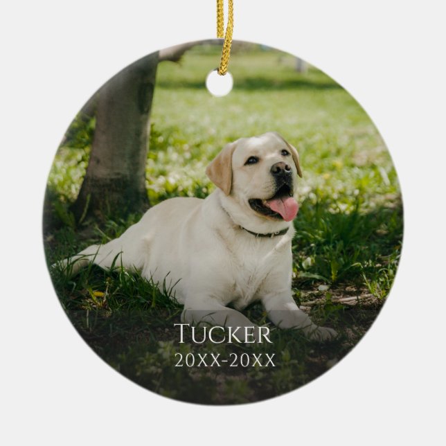 Custom Pet Memorial Classic Ornament (Front)