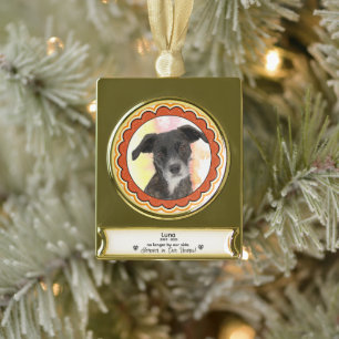 Custom Pet Memorial Ornament - Pet Sympathy Gift