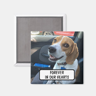 Custom Pet Memorial Photo Magnet