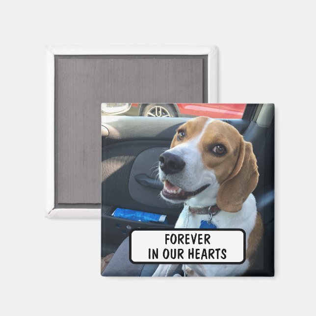 Custom Pet Memorial Photo Magnet (Front/Back)
