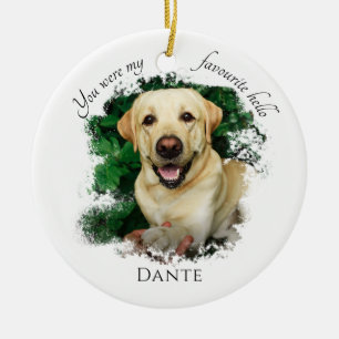 Custom Pet Memorial You Were My Favourite Hello   Ceramic Tree Decoration