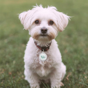 Custom Pet Name Teal Monogram White Tag