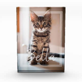 Custom Pet Name Typography and Photo Frame Block