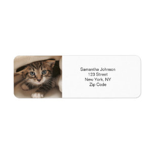 Custom Pet Photo 